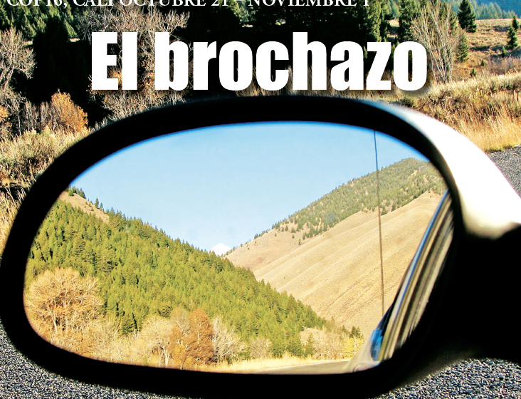 El brochazo